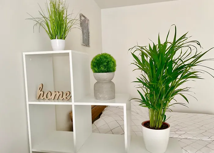 Stylish With Balcony & Free Parking